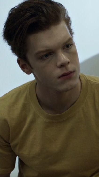 pin | brennaschauer1 | Cameron monaghan, Cameron, Mickey and ian