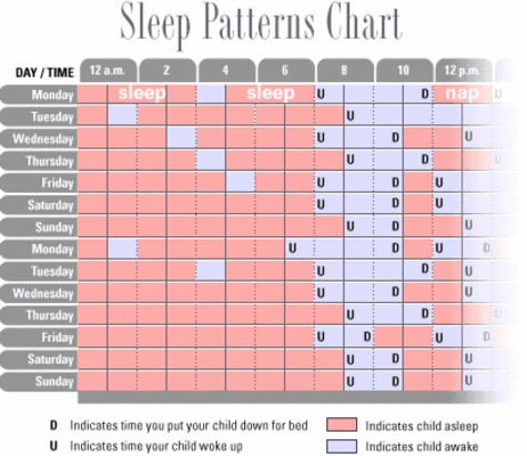 schedules for baby