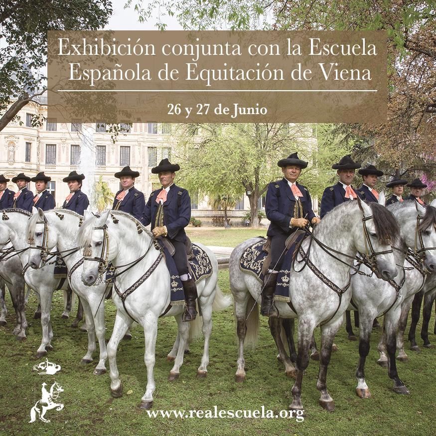 Real Escuela On Twitter Andalusian Horse Beautiful Horses White Horses