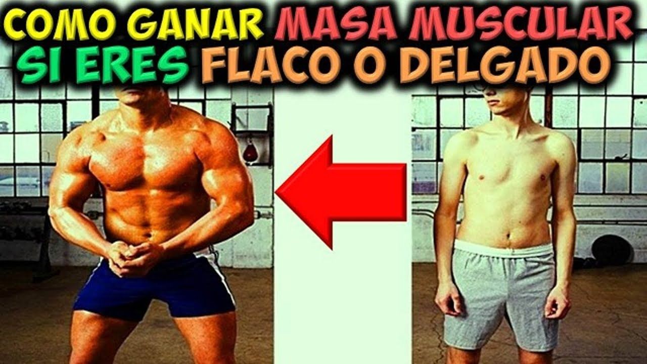 Soy delgado masa dieta para muscular aumentar