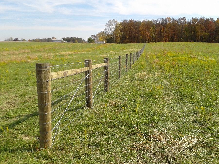 Ideal Cattle Fencing Solutions Dog Fence Types Of Fences Dog Care Tips ideal-cattle-fencing-solutions-dog-fence-types-of-fences-dog-care-tips