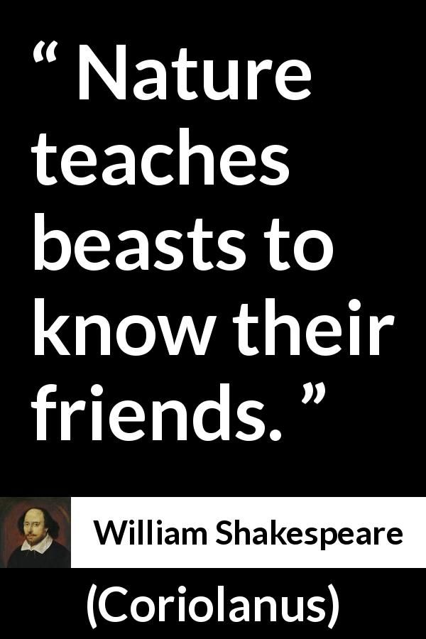 William Shakespeare Quote About Friendship From Coriolanus 60 Best William Shakespeare Quotes About Friendship William Shakespeare Quote About Friendship From Coriolanus 60 Best William Shakespeare Quotes About Friendship