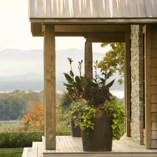 Love the pots and plants Houzz.com | Garden and Patio | Pinterest ... Love the pots and plants Houzz.com | Garden and Patio | Pinterest ...