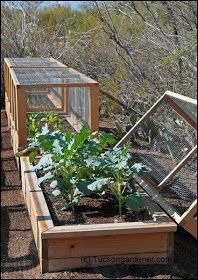 The Garden Raised Garden Garden Diy Raised Garden