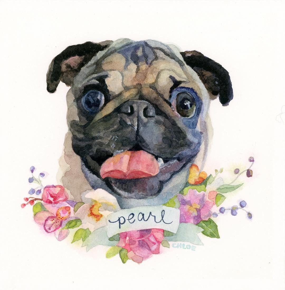 Chloe Bren On Instagram Pearl 8x8 Dibujos De Perros