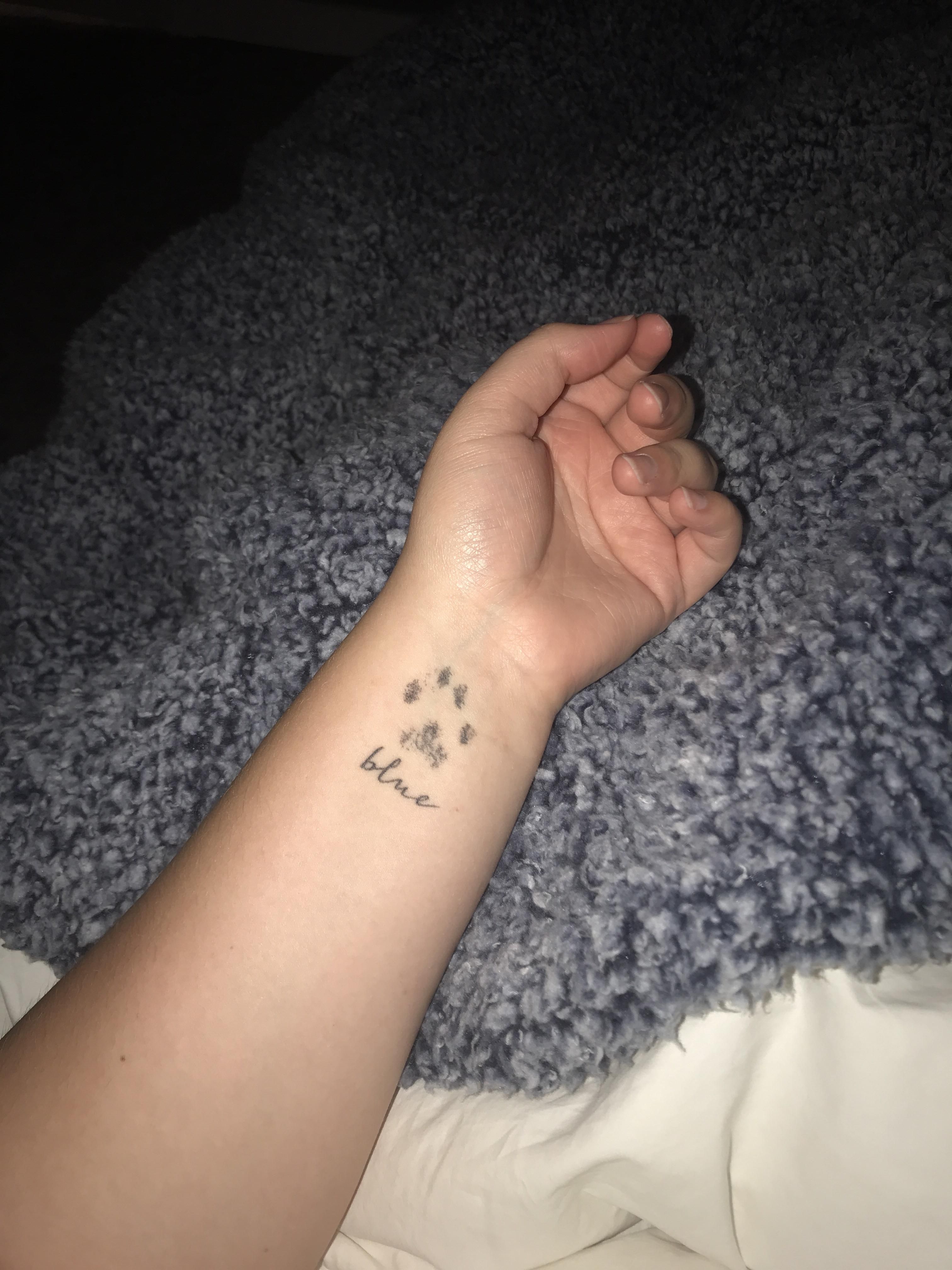 Small Memorial Tattoo For My Sweet Blue That Passed Away Its His Actual Paw Print Tattoos Memorial Tattoo Cat Paw Print Tattoo