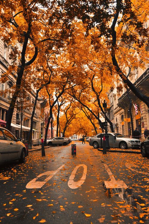 fall street