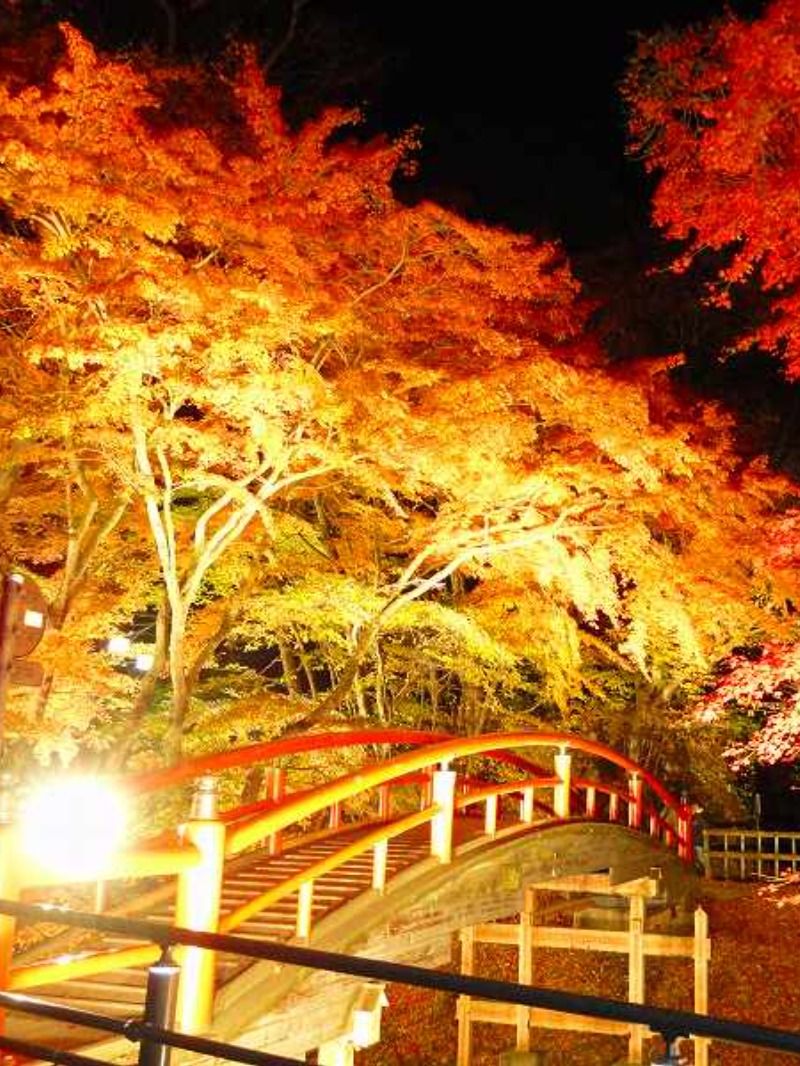 群馬県 めがね橋 紅葉 Financial Trading Org 群馬県 めがね橋 紅葉 Financial Trading Org