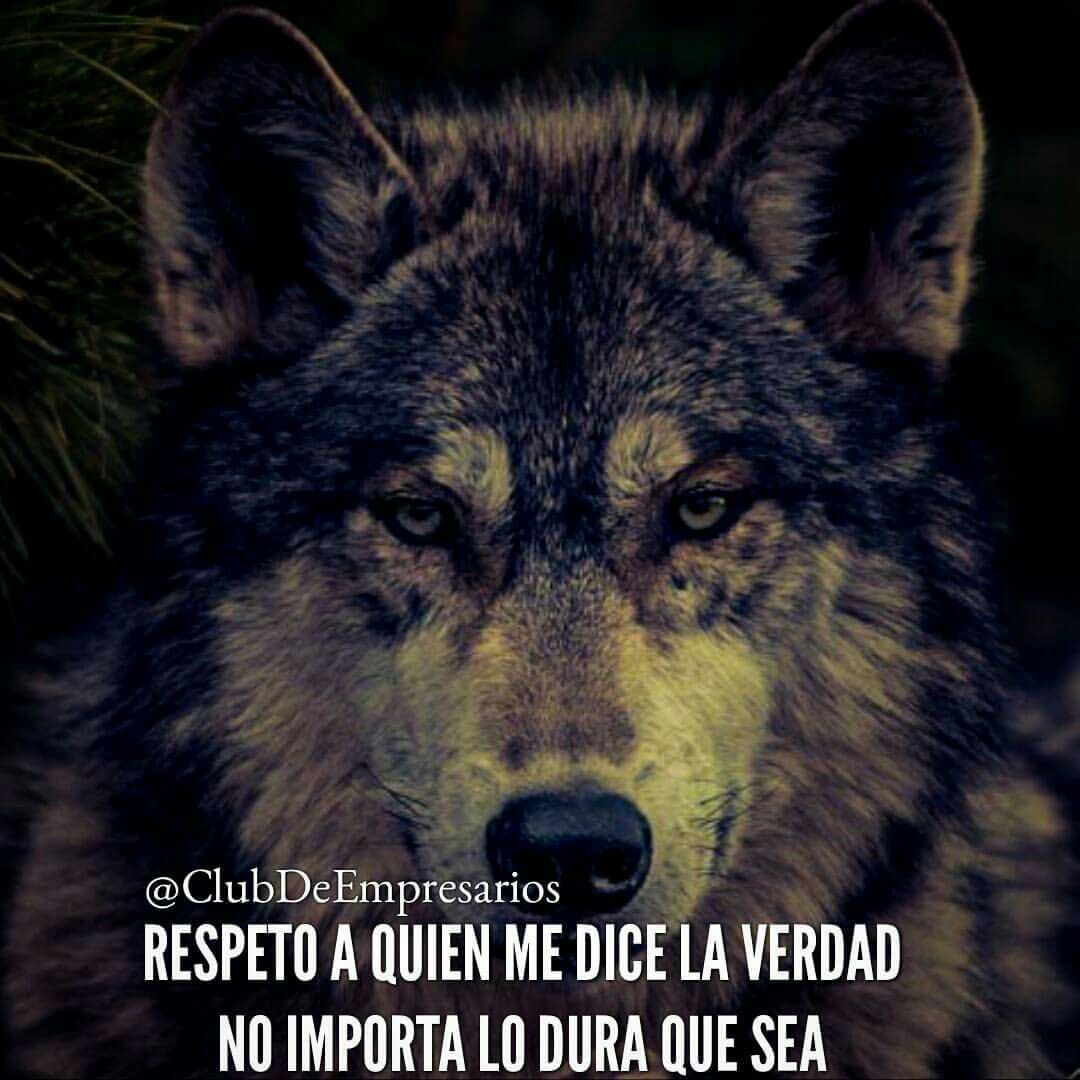 ¿Cómo decir wolf en plural?