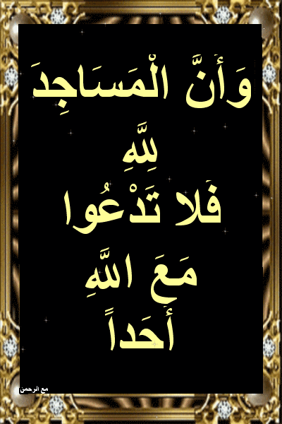 أسباب نزول آيات القرآن و أ ن ال م س اج د ل ل ه ف لا ت د ع و م ع الل Blog Posts Blog Post