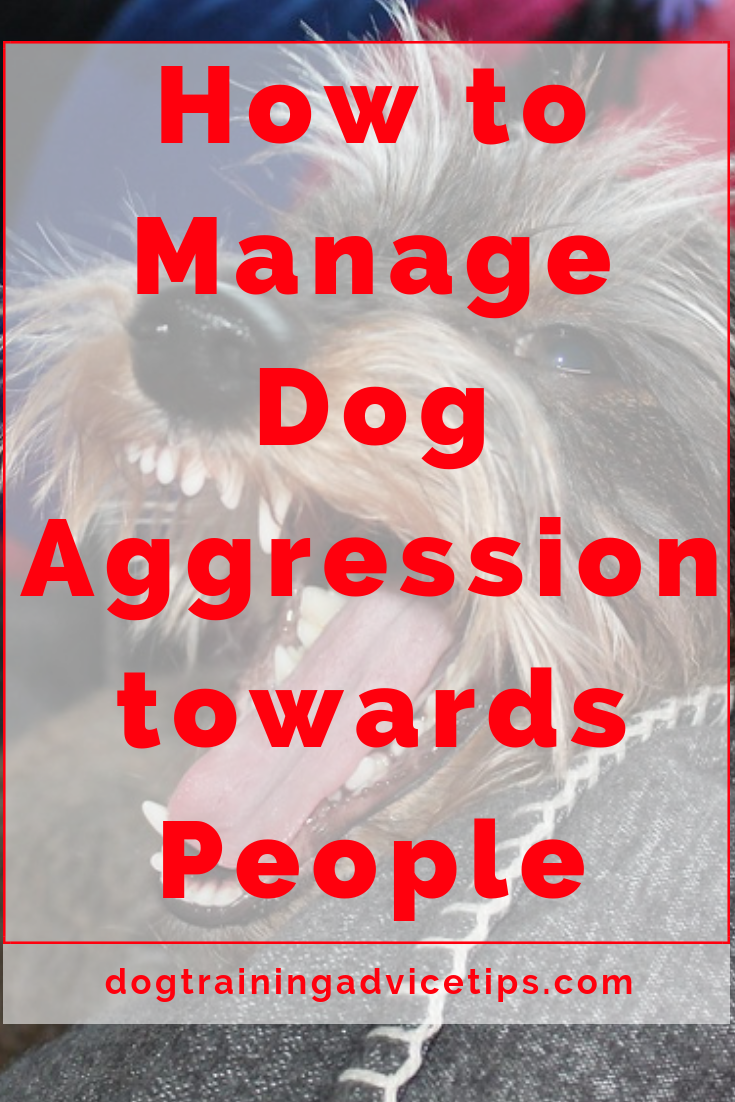 Dog Training Courses, Dog Training Advice, Puppy Training, Training Your Dog, Training Videos, Training Treats, Brain Training, Dog Training Aggression, Dog Training Obedience