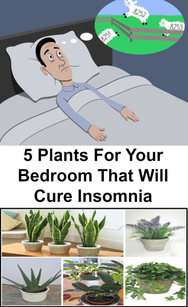 Night Terrors Natural Cure Night Terrors Natural Cure