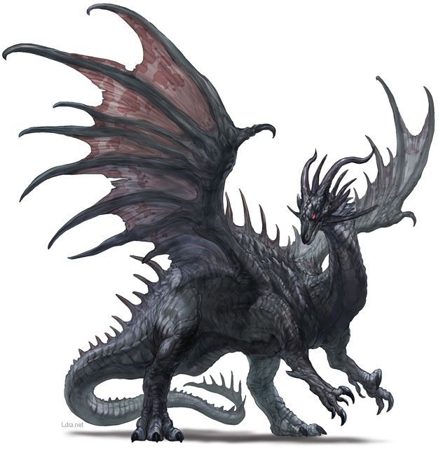 Black Dragon Fantasy Pinterest ドラゴン イラスト ドラゴンアート 竜 イラスト Black Dragon Fantasy Pinterest ドラゴン イラスト ドラゴンアート 竜 イラスト