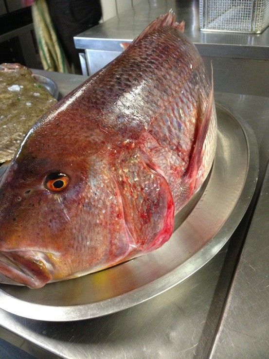 Da cosa ci viene la forza di andare avanti e di continuare a sostenere il nostro territorio, i piccoli artigiani da questo spettacolo della natura che ci regalano ogni giorno i nostri artigiani pescatori e i contadini, sperando di regalare emozioni anche a voi magari cercando di far capire il perché bisogna sostere un territorio e i nostri prodotti. In foto un Dentice da 8kg e un Rombo da 6kg. #magariungiorno Da cosa ci viene la forza di andare avanti e di continuare a sostenere il nostro terri #magariungiorno