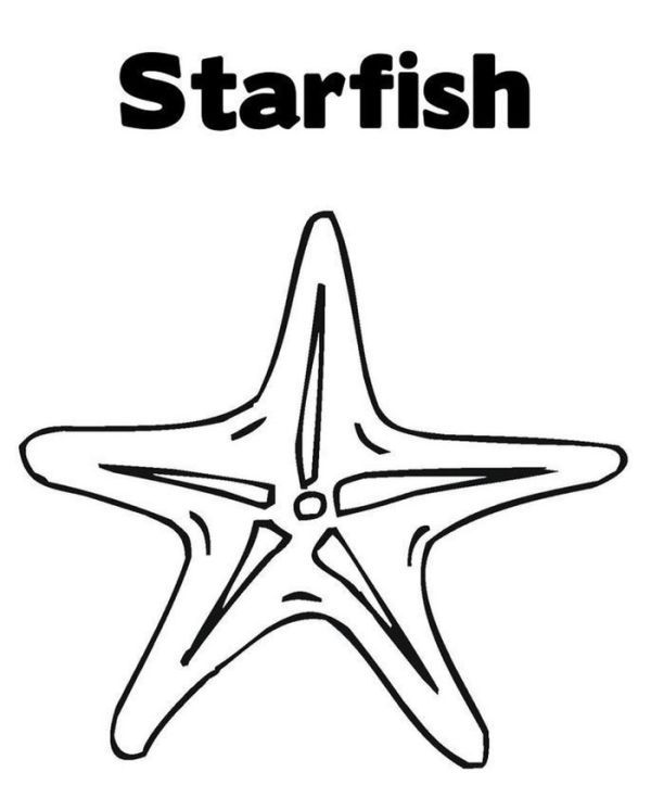 Starfish Coloring Pages PDF Printable Coloringfoldercom Coloring