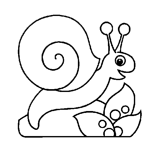 Dibujo De Caracol Para Colorear Paginas Para Colorear Imprimir Sobres Caracoles
