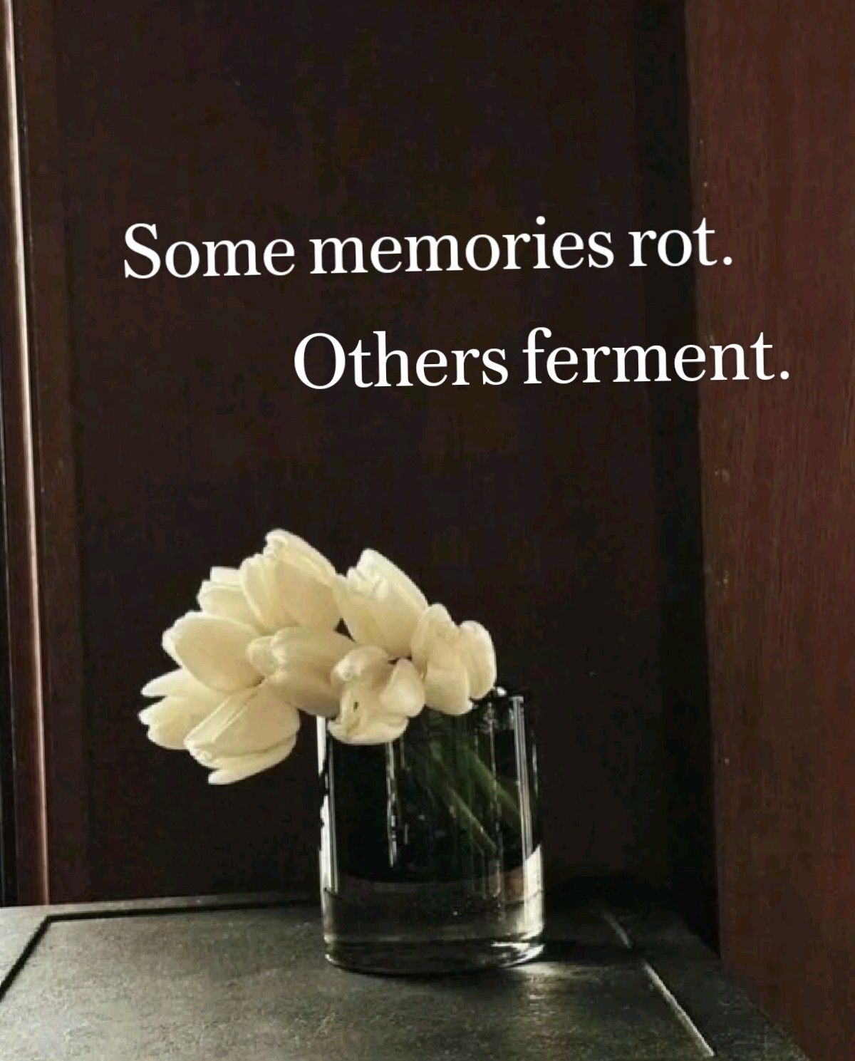 Some memories rot. Others ferment.