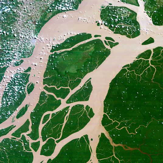 deposition of more sediment also adds weight to the delta which can