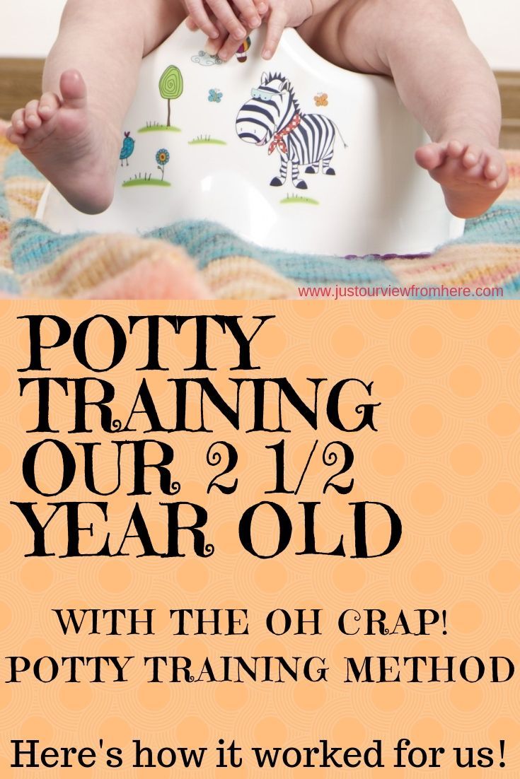 Ah the joys of potty training! The messiest of milestones for your toddler to achieve! Here's how it worked for us with our 2 1/2 year old toddler, in less than a week, he was day time trained! Potty Training Chart, Toddler Potty Training, Toilet Training, Training Tips, Parenting Toddlers, Positive Parenting, Parenting Advice, Parenting Styles, Parenting Quotes