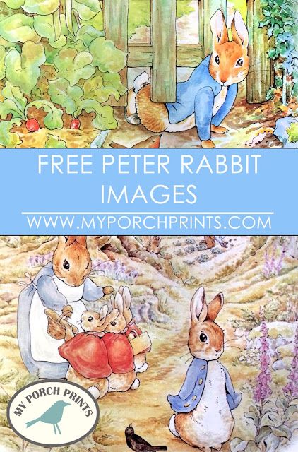 Free Peter Rabbit Beatrix Potter Images Download Peter Rabbit Birthday, Peter Rabbit Party, Beatrix Potter Nursery, Beatrix Potter Books, Beatrix Potter Illustrations, Free Illustrations, Beatrice Potter, Peter Rabbit Nursery, Rabbit Crafts