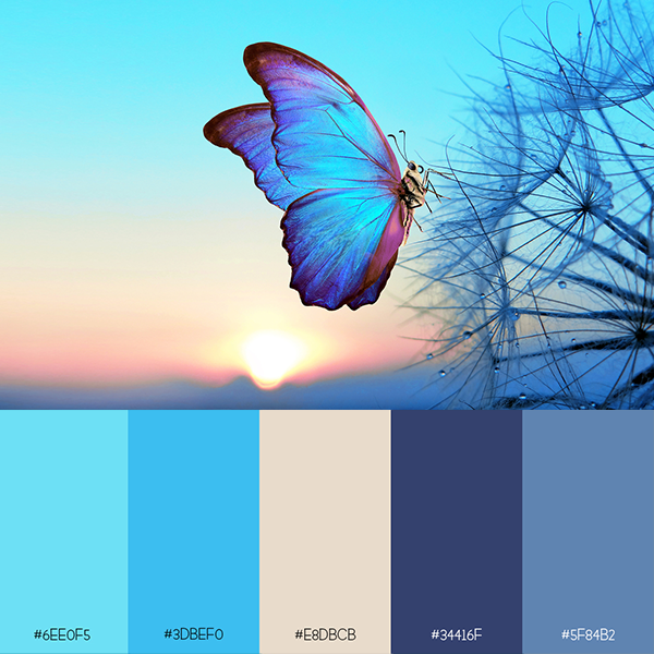 Blue Butterfly Website Color Palette Website Color Schemes Blue Website
