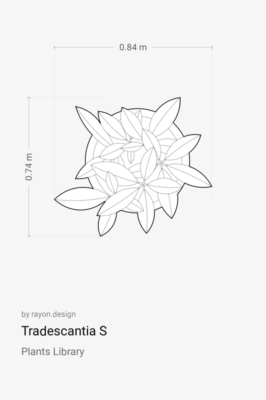 Tradescantia S - A free CAD block, brought to you by