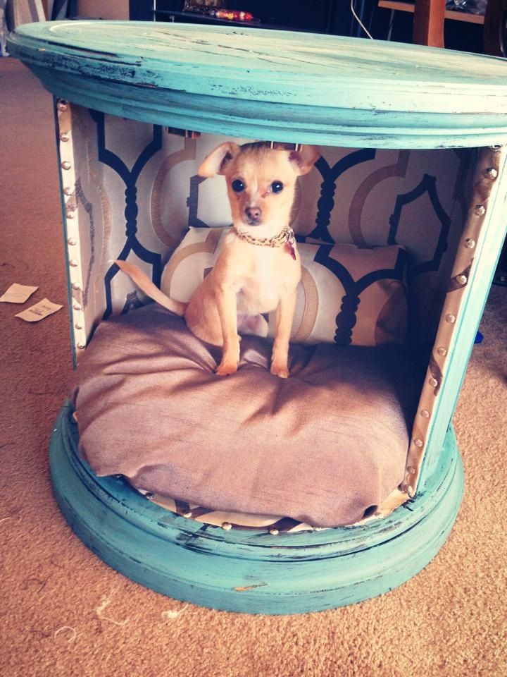 19 Diy Projects For Dog Lovers Diy Dog Stuff Diy Stuffed Animals Diy Dog Bed