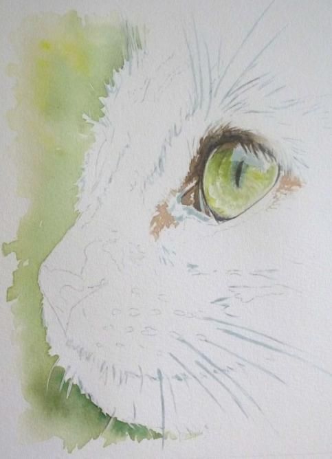 Quel Pinceau Choisir A L Aquarelle Pinceau Aquarelle Aquarelle