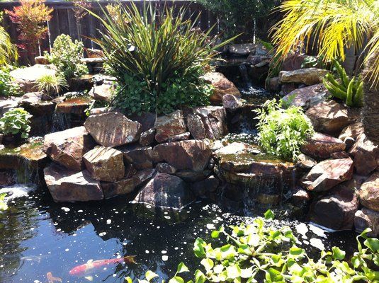the fantastic koi pond on display at san diego pond and garden outdoor water features ponds backyard backyard water feature