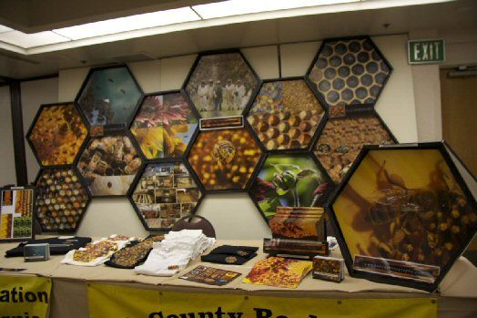 Honeybee Exhibit Google Search Childrens Museum Exhibits Childrens Museum Ideas Childrens Museum