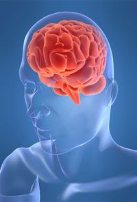 Traumatic brain injury schizophrenia information