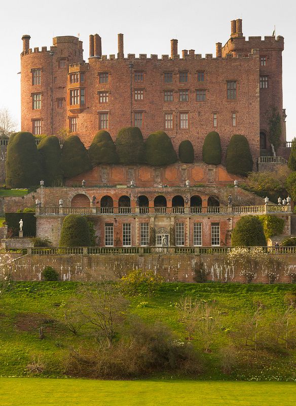 Powis Castle Terrace V