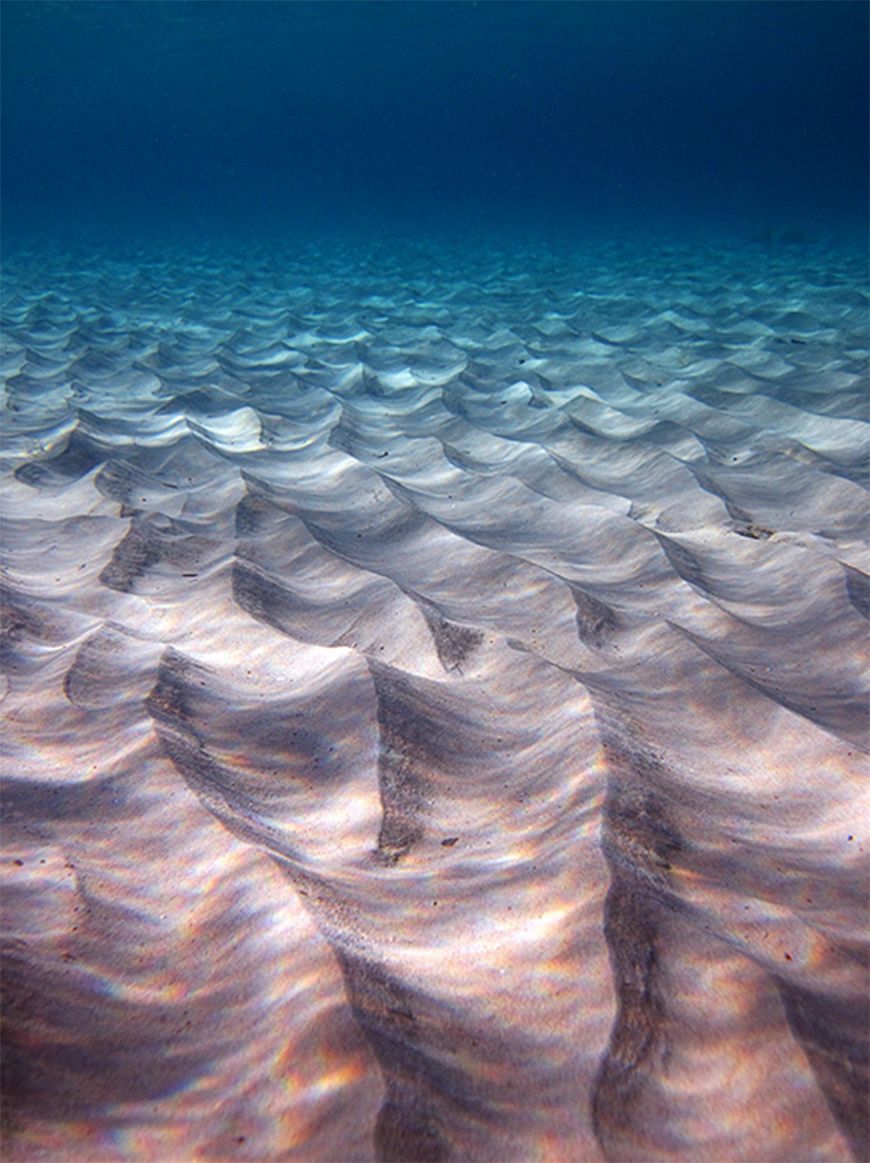 Sand Waves On The Ocean Floor Beautiful Nature Nature Underwater