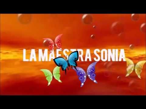 TARTARUGA LAUZI SCARICA