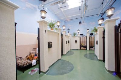 Hollywood Dog Boarding Kennel Hollywood Dog Boarding Kennel