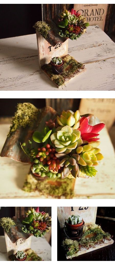 3月ワークショップ Un Unコラボ固まる土ネルソル多肉の寄せ植え ネルソル 多肉 寄せ植え 3月ワークショップ Un Unコラボ固まる土ネルソル多肉の寄せ植え ネルソル 多肉 寄せ植え