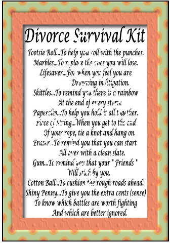 divorce survival kit survival baggie ideas survival survival