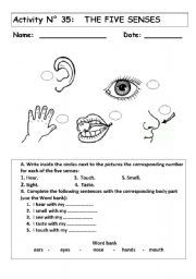 20 places to visit ideas five senses worksheet my five senses math facts