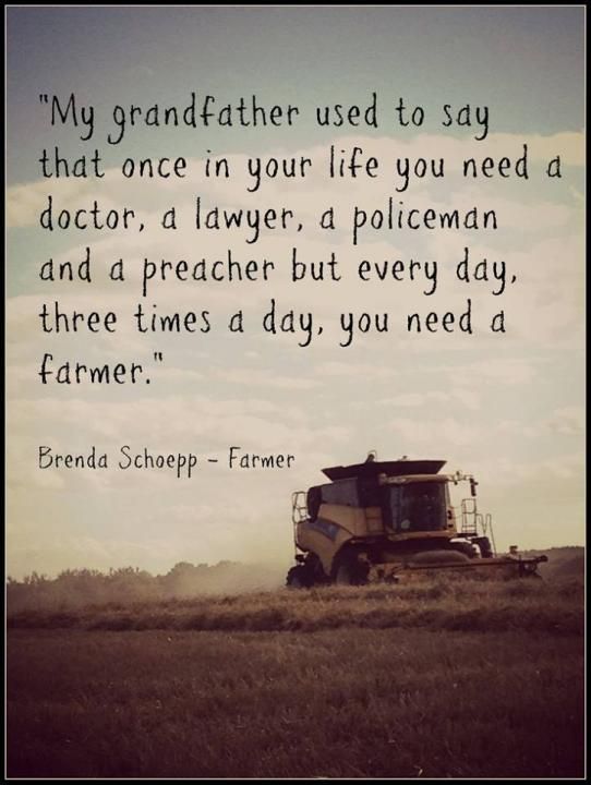 Social Nucleus Business Friendly Social Community Social Nucleus Beauteous Country Life Quotes And Sayings Social Nucleus Business Friendly Social Community Social Nucleus Beauteous Country Life Quotes And Sayings