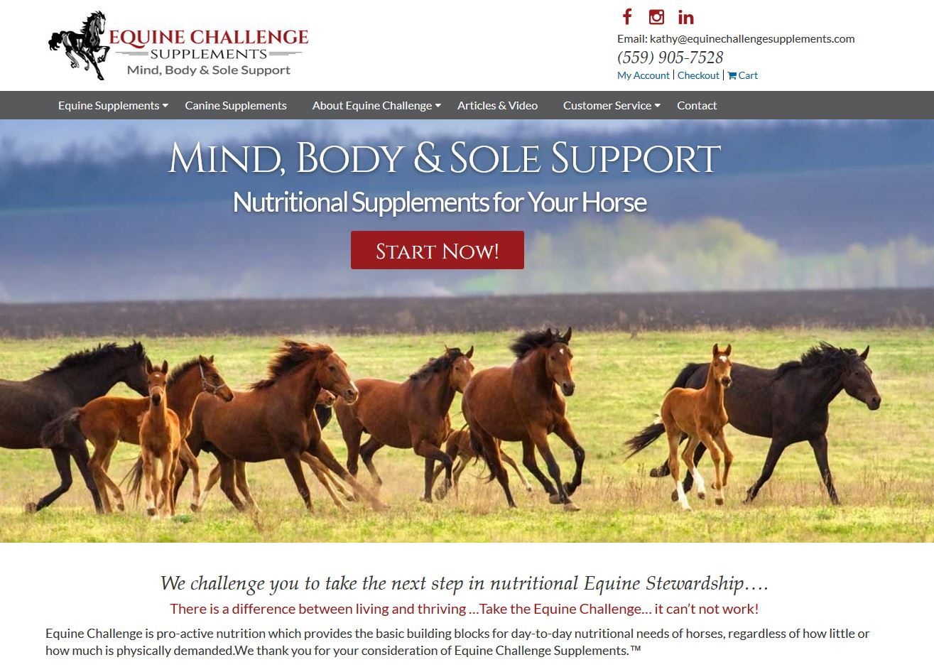 Custom Equine Nutrition Vitamin E Horse Supplements/Equine Nutrition/Vitamins and Minerals