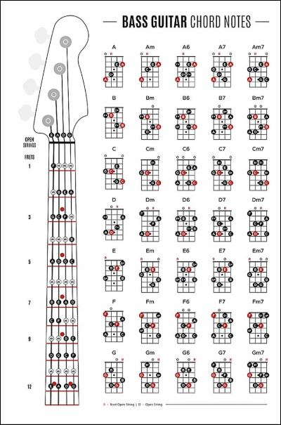 Bass guitar chord notes poster Bass Guitar Notes, Guitar Chords And Scales, Bass Guitar Chords, Learn Bass Guitar, Music Theory Guitar, Bass Guitar Lessons, Music Chords, Guitar Chord Chart, Guitar Tabs