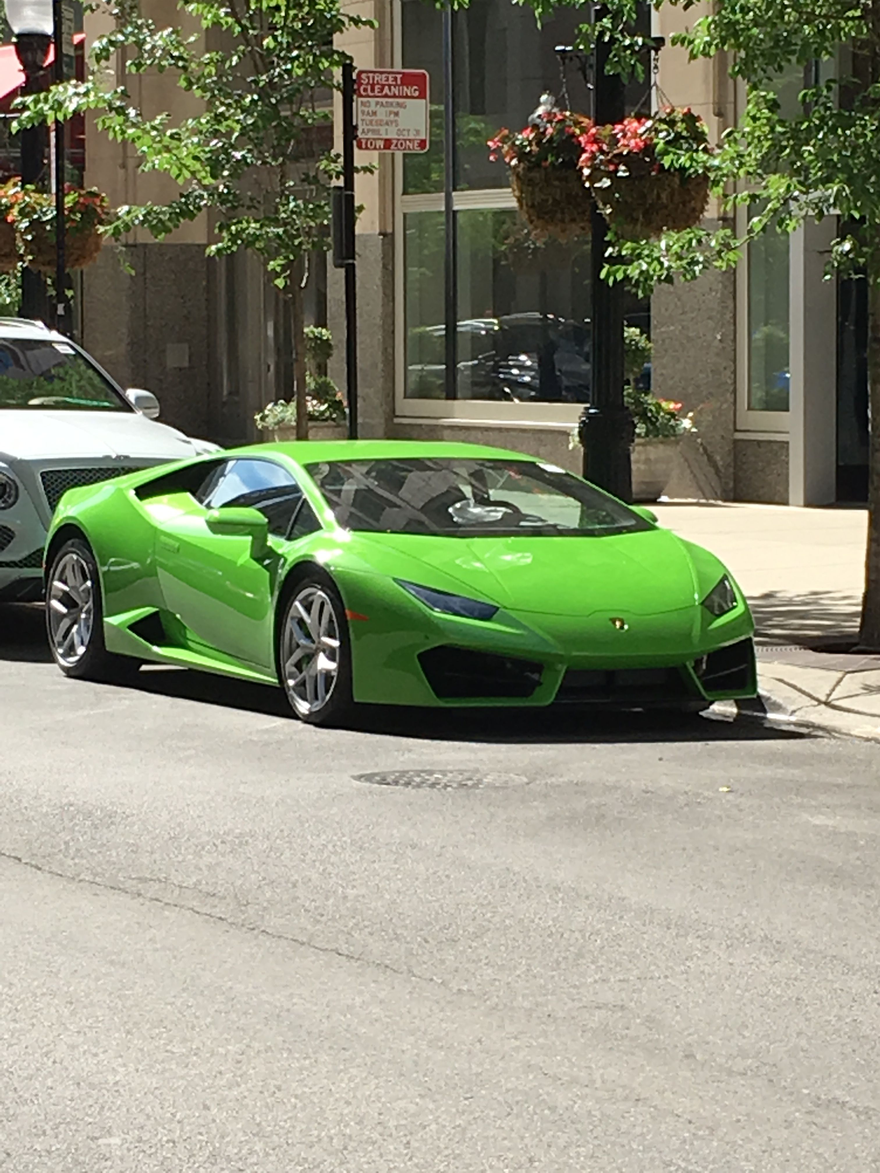 Walked past this unusual colored sports car while strolling down Rush Walked past this unusual colored sports car while strolling down Rush