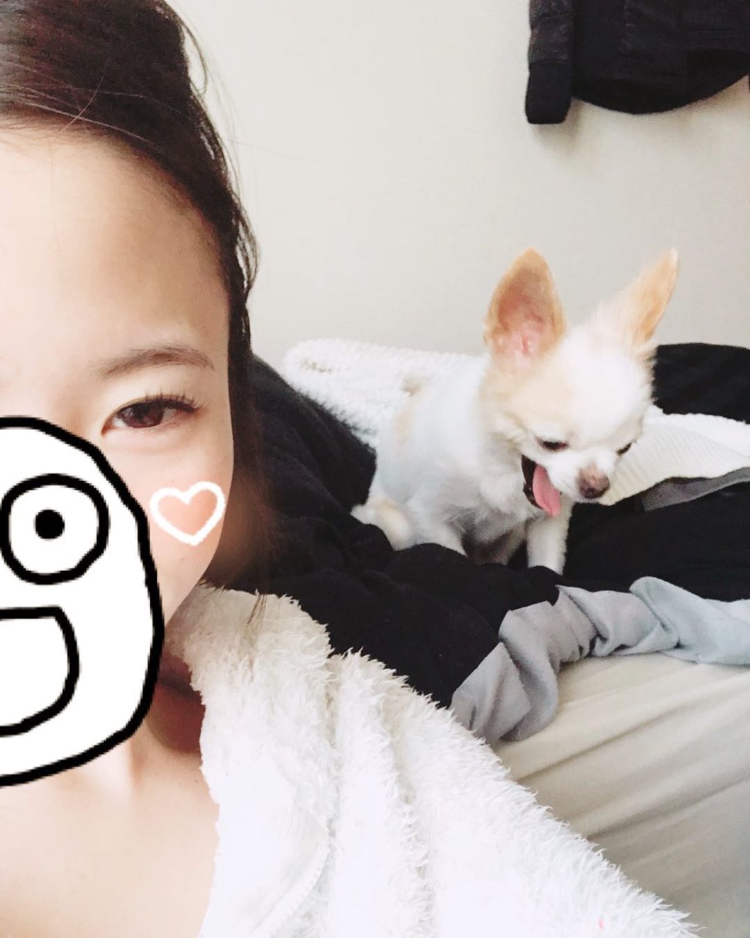 くあ あくび Dog Love Family Malonsan 平成生まれ 犬 チワワ ロングコートチワワ ワンコなしでは生きて行けません会 いぬのきもち エブリドッグ Todayswanko 上野 Chihuahua Lover Chihuahua くあ あくび Dog Love Family Malonsan 平成生まれ 犬 チワワ ロングコートチワワ ワンコなしでは生きて行けません会 いぬのきもち エブリドッグ Todayswanko 上野 Chihuahua Lover Chihuahua