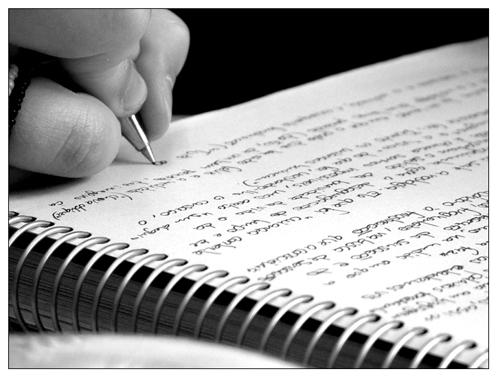 Custom essay paper help parts