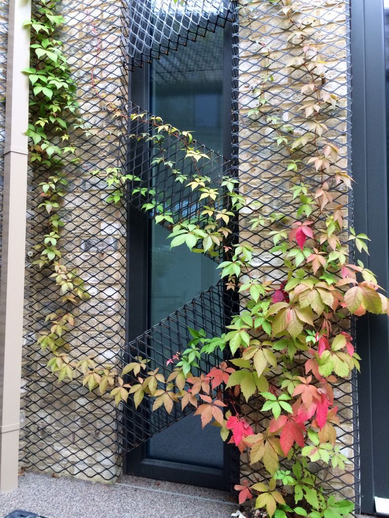 Colour outside - Jardin Vertical Fachada