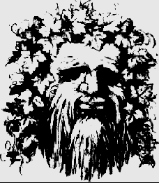 The old man and the two lovers - father time | Optical illusions pictures, Cool optical illusions, Optical illusion paintings