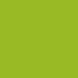 Electric Lime Paint Color Sw 6921 By Sherwin Williams View Interior Electric Lime Paint Color Sw 6921 By Sherwin Williams View Interior And Exterior Colors Palettes Get Design Inspiration For Painting