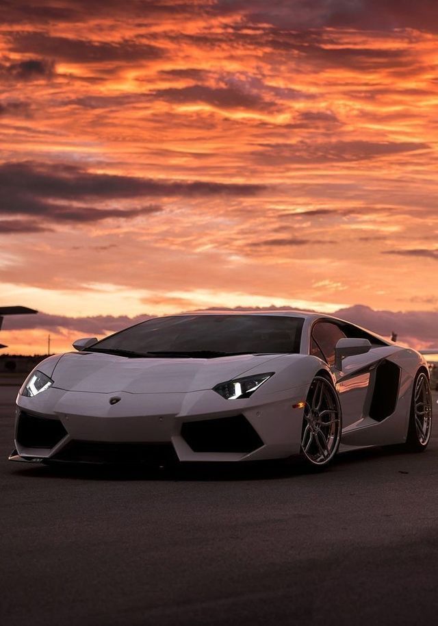 Âmbar Caroline mikaelson e hope Andrea mikaelson eram filhas de Klaus… #vampiro # Vampiro # amreading # books # wattpad Luxury Sports Cars, Top Luxury Cars, Luxurious Cars, Exotic Sports Cars, Cool Sports Cars, Super Luxury Cars, Sport Cars, Cool Cars, Exotic Cars
