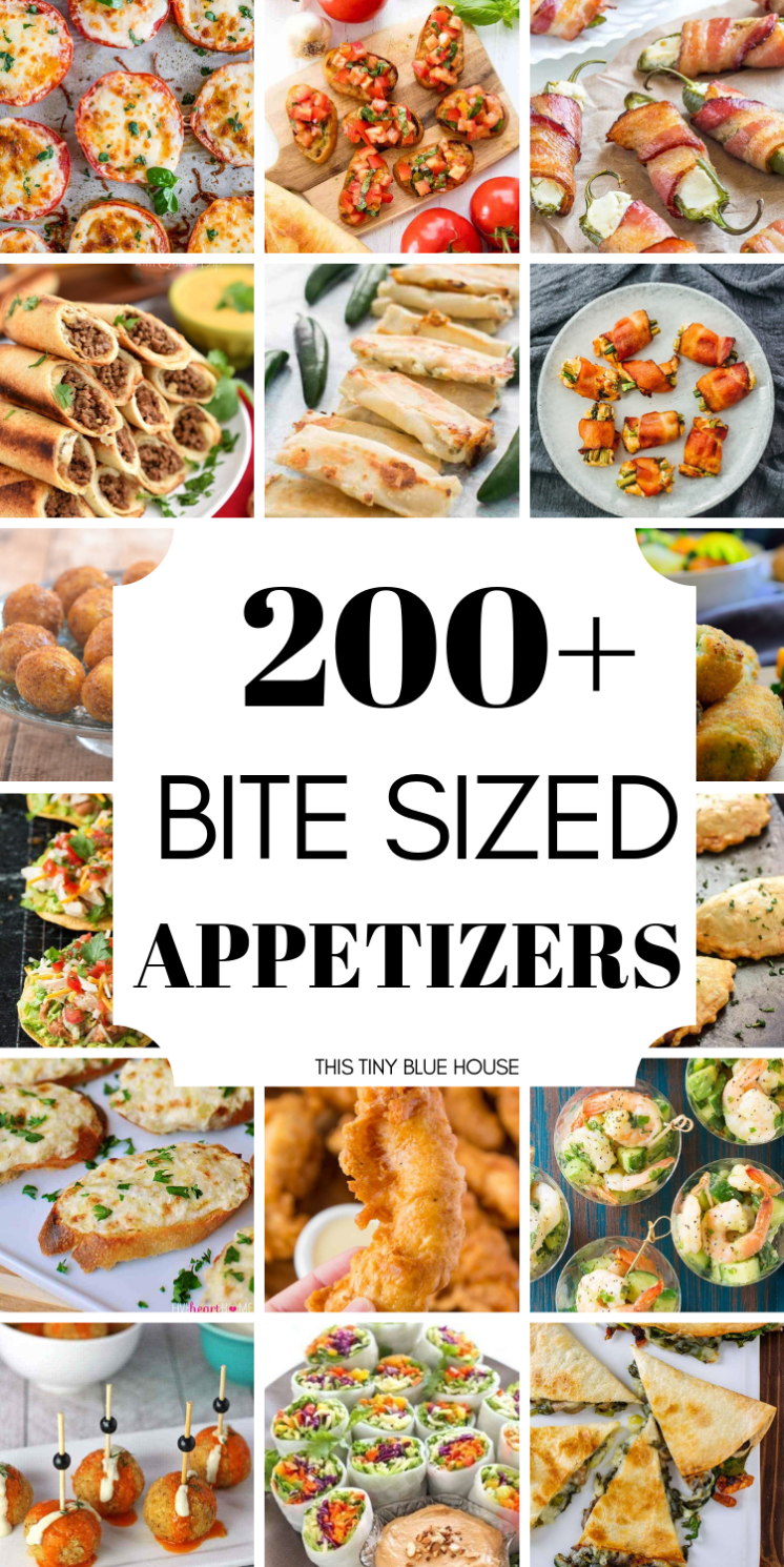 200+ Delicious Easy Bite Sized Appetizers - This Tiny Blue House