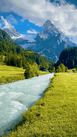 Swiss, looks amazing and oddly satisfying. Swiss, looks amazing and oddly satisfying.